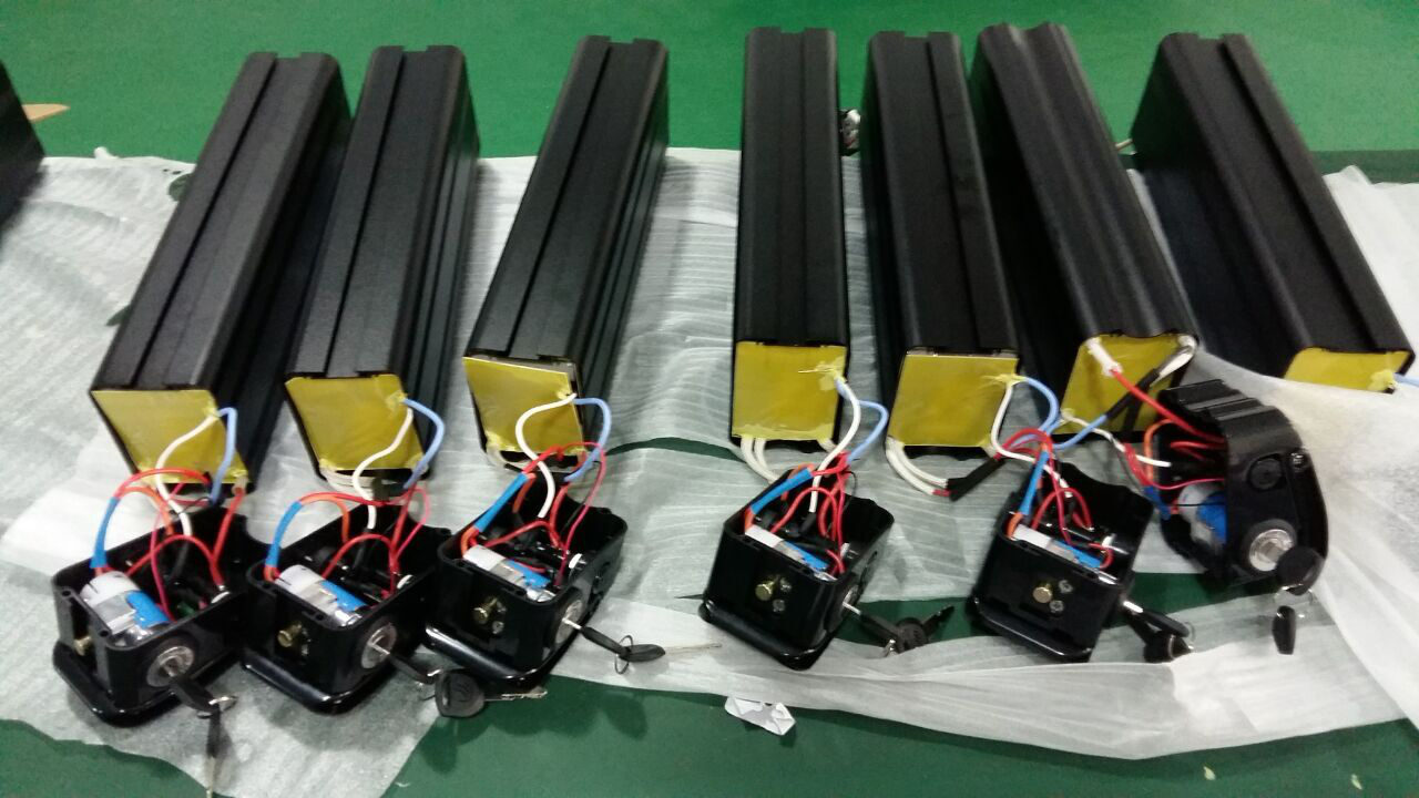 electric cycle battery