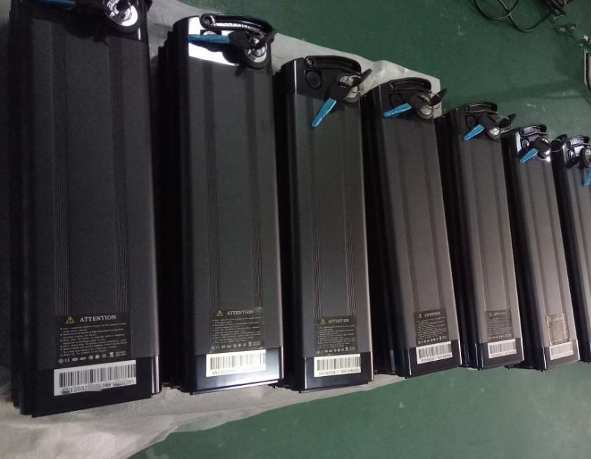 electric cycle battery