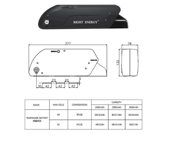 E Pedelec Battery