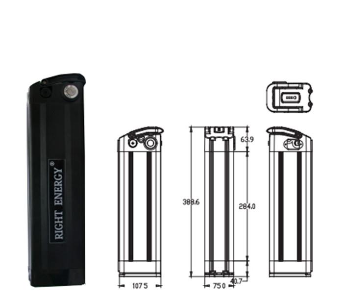 Mountain E Bike Battery