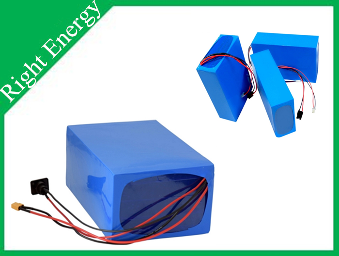 Rechargeable 48v Electric Bike Battery Pack