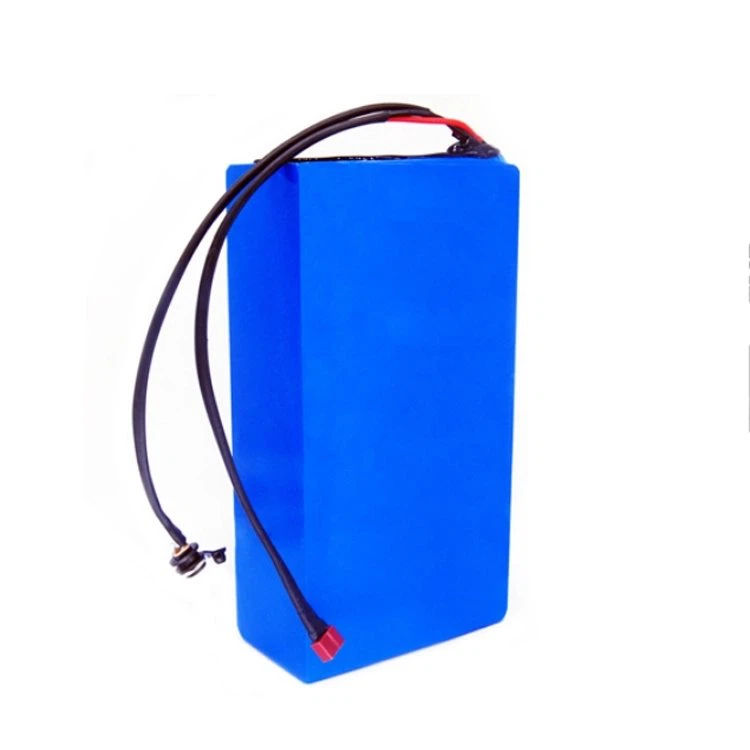 Rechargeable 48v Electric Bike Battery Pack