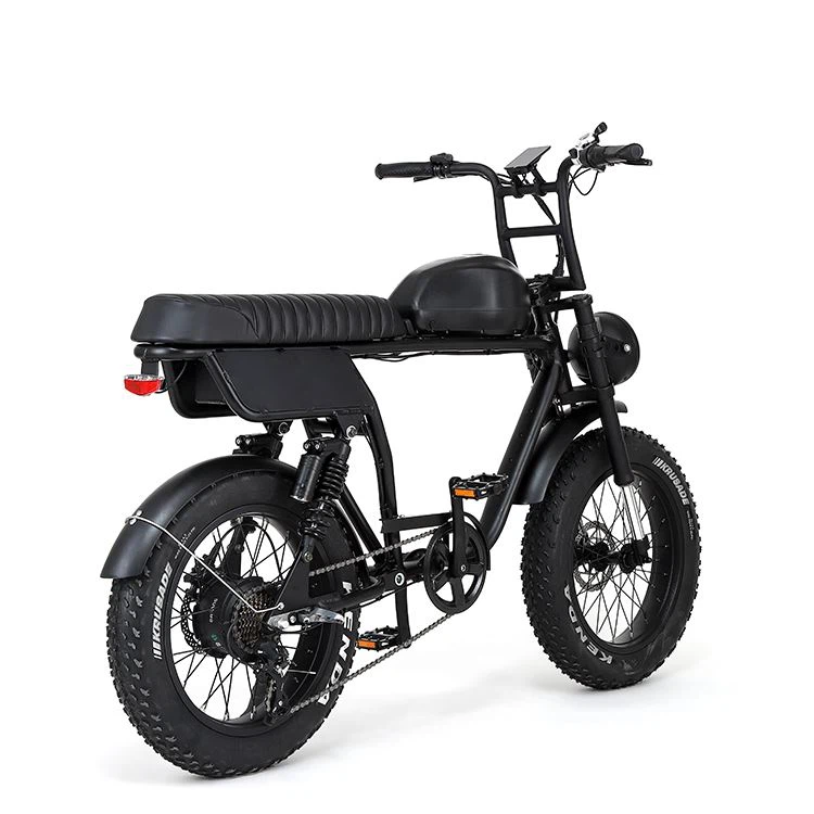 E Mountain Bike
