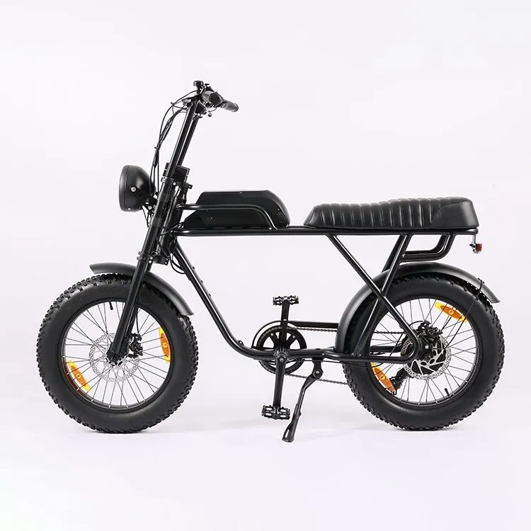 Electric Bike For Adults